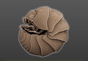 Keka1.0.3——Mac下的解压缩工具-史蒂芬周的博客