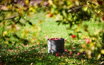 大自然4 大自然4