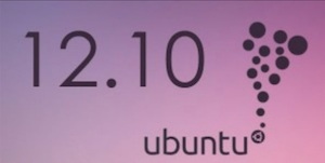ubuntu12.10