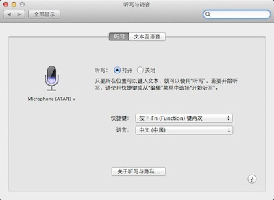 中文语音输入 中文语音输入