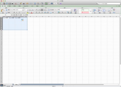 office 2011 Excel写作