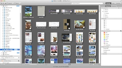 ACDSee Pro 主界面