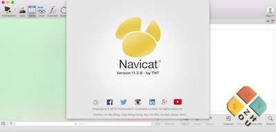 Navicat Premium 界面