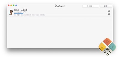 Downie 下载界面