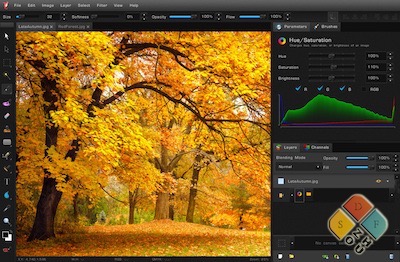 Bloom 主界面 Bloom 主界面