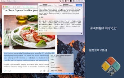 Translate Tab 主界面 Translate Tab 主界面