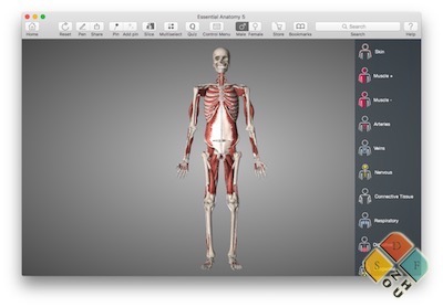 Essential Anatomy 主界面