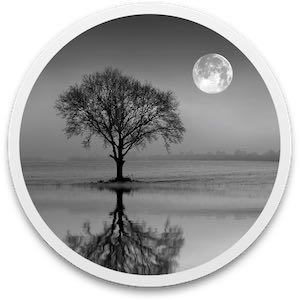 Reflect Studio 2.6 Mac破解版-史蒂芬周的博客