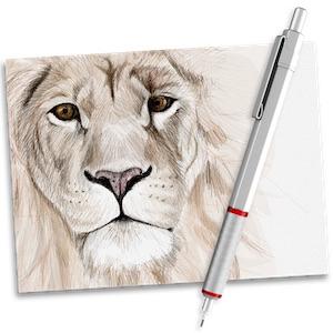 Tayasui Sketches Pro 2.0 Mac破解版-史蒂芬周的博客