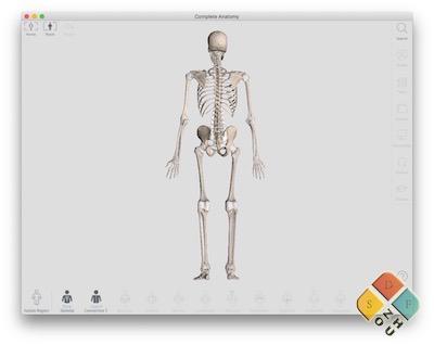 Complete Anatomy 主界面 Complete Anatomy 主界面