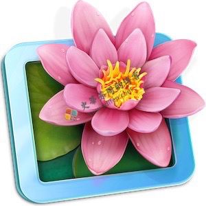 LilyView 1.5.1 Mac破解版-史蒂芬周的博客