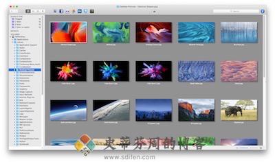 Lyn 主界面 Lyn 主界面
