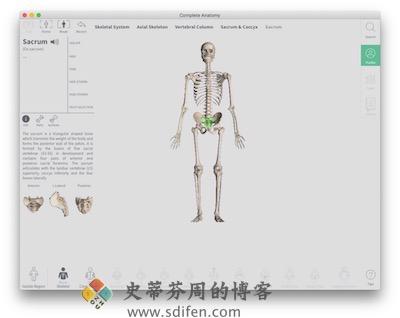 Complete Anatomy 主界面