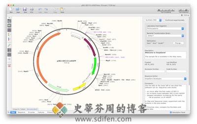 SnapGene 主界面