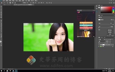 Moody Photoshop Panel 主界面
