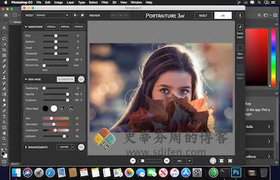Portraiture 主界面