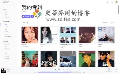 Roon 主界面