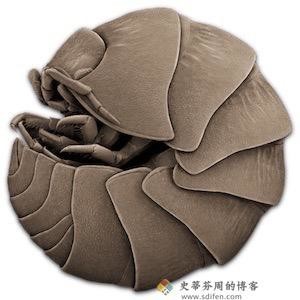 Keka 1.0.12 Mac中文版-史蒂芬周的博客