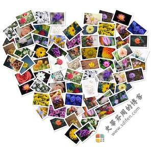 FigrCollage 2.5.6 Mac破解版-史蒂芬周的博客