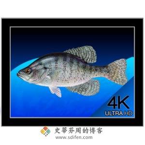 Aquarium 4K 1.0.3 Mac破解版-史蒂芬周的博客