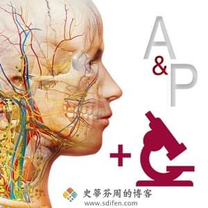 Anatomy and Physiology 6.2.07 Mac破解版-史蒂芬周的博客
