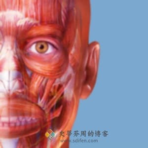 Muscle Premium 7.1.56 Mac中文破解版-史蒂芬周的博客