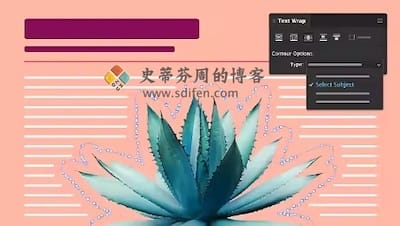 Adobe InDesign 2023 主界面