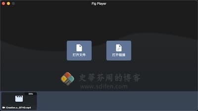 Fig Player 主界面