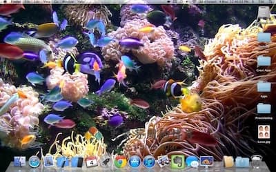 Desktop Aquarium Wallpapers 主界面