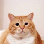 Ethan_Syd的头像-史蒂芬周的博客