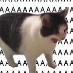 mi9ni的头像-史蒂芬周的博客