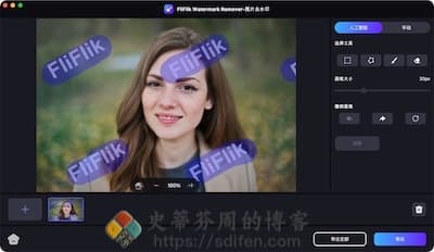 FliFlik Watermark Remover 主界面