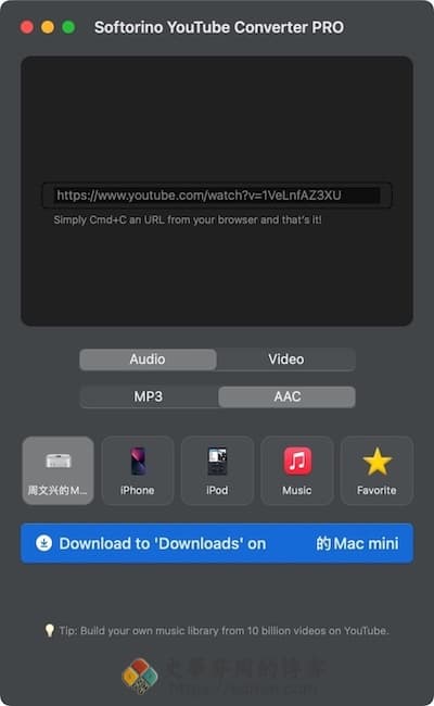Softorino YouTube Converter PRO 主界面
