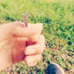 Frankie的头像-史蒂芬周的博客