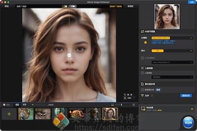 Aiarty Image Enhancer 主界面