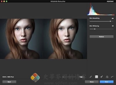 WidsMob AI Retoucher 主界面
