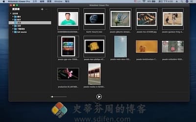 WidsMob Viewer Pro 主界面