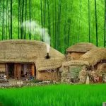 limingibm的头像-史蒂芬周的博客