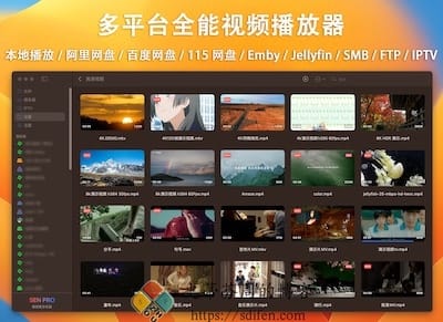 SenPlayer 主界面