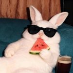 Siona的头像-史蒂芬周的博客